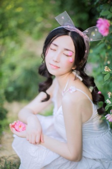 洛佩西
